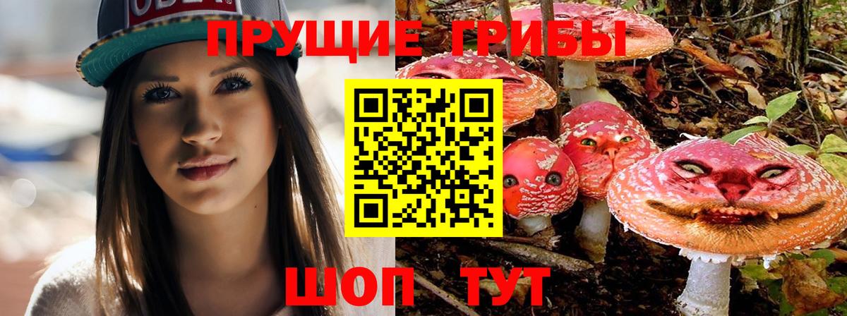 Семёнов  Галлюциногенные грибы мицелий  Вход с VPN 